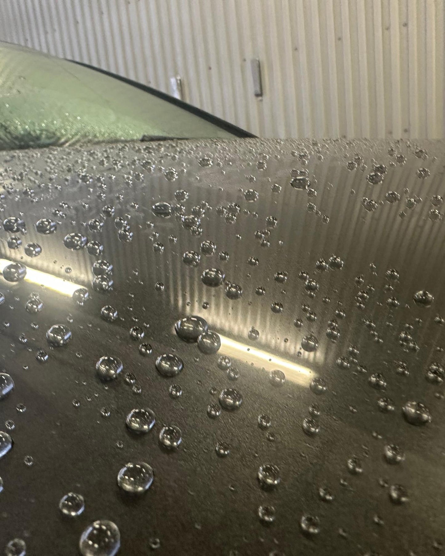 SHIELD & TWISTED LOOP KIT